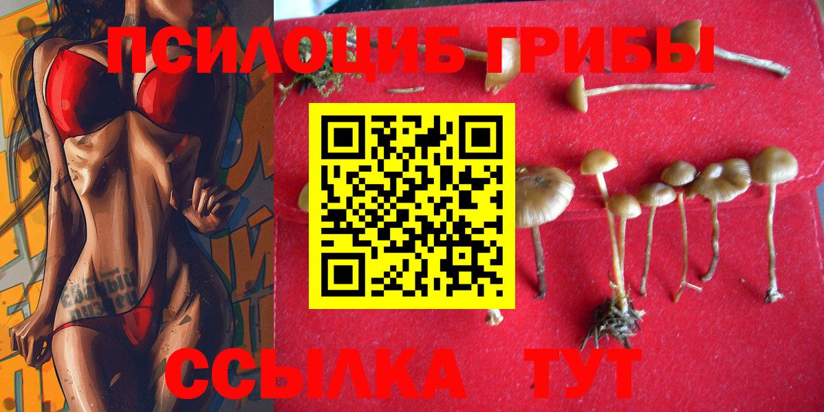 Псилоцибиновые грибы Magic Shrooms  Вход с VPN  Асино 